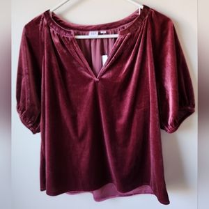 NWT Gap Velvet Feel Shirt